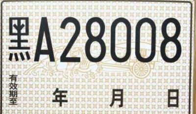 临时牌违章多久能查到