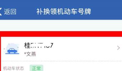 牌照办好了没挂交警查得到吗