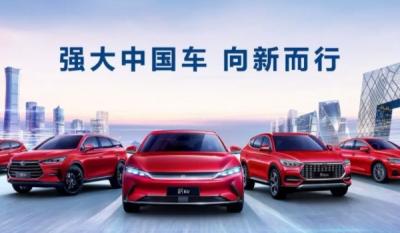 比亚迪是国家控股吗