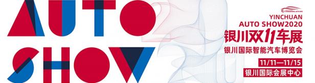 2020银川双11车展