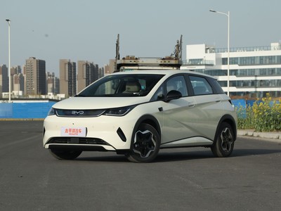 海豚最新价格2025款大起底，买车超详细！