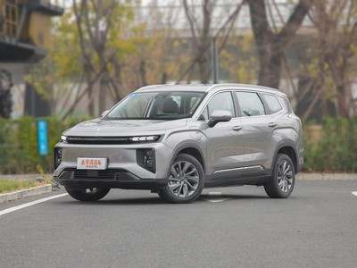睿蓝9落地价，买车前的全方位指南