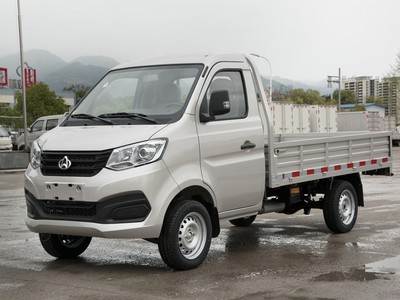 新豹T1新款价格2021款多少钱？购车必看
