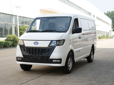 万象T01新款价格2022款多少钱？购车必看