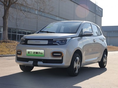 雷丁芒果Pro 2025新款价格大揭秘，买车前必看！