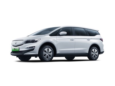 枫叶80v L多少钱？选车秘籍全攻略
